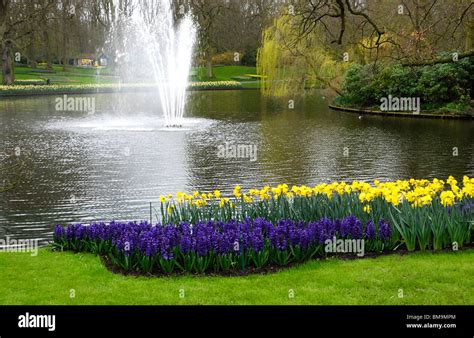 Keukenhof Park, Netherlands Stock Photo - Alamy