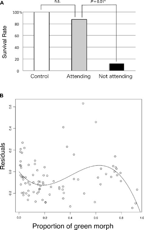 Results of experiment 1 (A) and experiment 2 (B). (A) Effect of ant ...