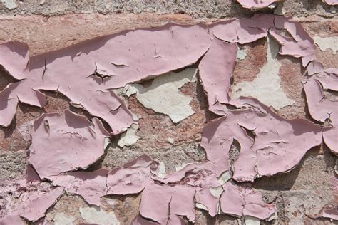 Free Images : rock, texture, leaf, flower, city, urban, wall, soil, grunge, pink, material ...