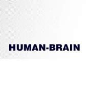 Working at Human Brain | Glassdoor