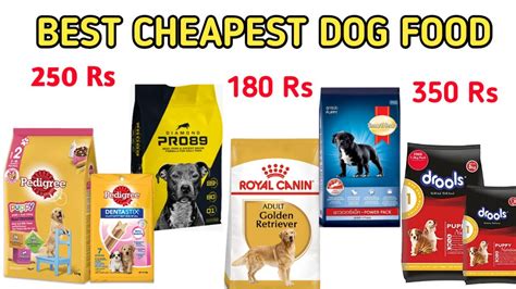 What Is The Cheapest Best Dog Food