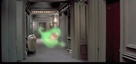 Ghostbusters Slimer GIF - Ghostbusters Slimer Bill Murray - Discover ...