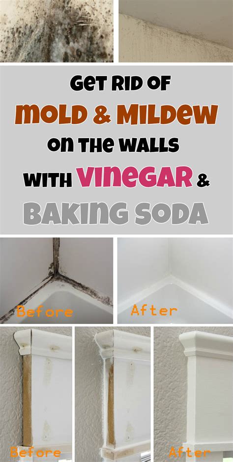 Get rid of mold & mildew on the walls with vinegar and baking soda ...