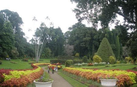 Botanical Gardens, Kolkata | Ticket Price | Timings | Address: TripHobo