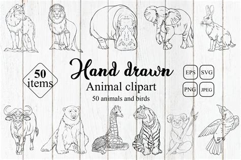 Animal clipart vector illustrations SVG EPS Bundle Download