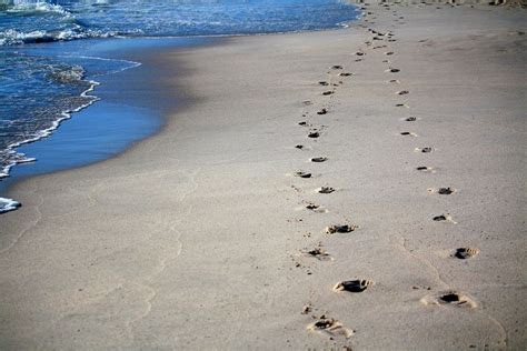 100+ Free Footprints In The Sand & Sand Images