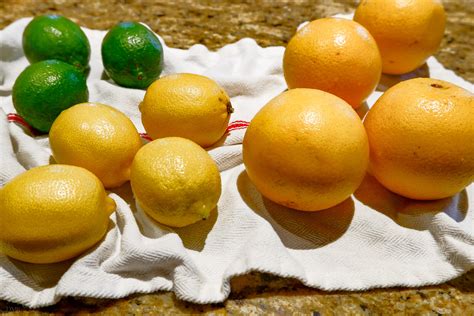 Candied Citrus Peel Recipe | DMR Travel