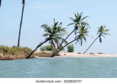 Ada Estuary Ghana August 14 2021 Stock Photo 2028828737 | Shutterstock