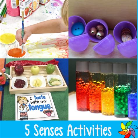 Amazing 5 Senses Activities | 5 senses activities, Senses preschool, Sensory activities for ...