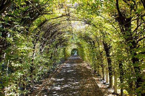 Snug Harbor Cultural Center & Botanical Garden | Staten Island, NY ...