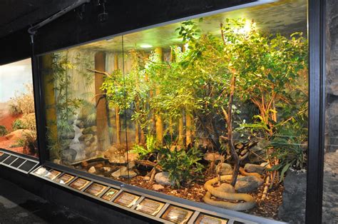 Biotope reptile terrarium » Tropicarium Kolmården Gallery | Reptile ...