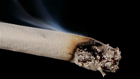 Burning cigarette stock footage. Video of tobacco, burning - 255631702