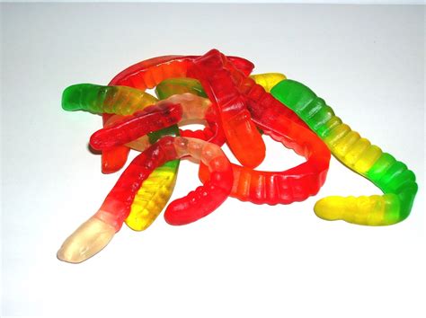 Gummy Worms Free Photo Download | FreeImages