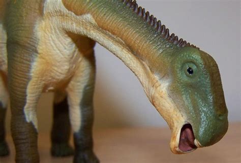 Nigersaurus (Wild Safari collection by Safari Ltd) | Dinosaur Toy Blog