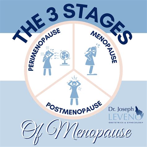 3-Stages-Of-Menopause - Dr. Joseph Leveno