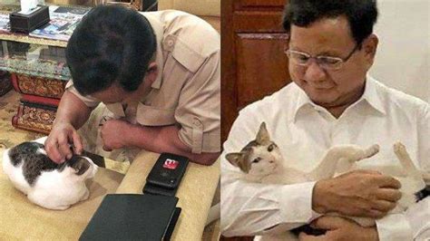 Kelakuan Bobby Kucing Kesayangan Prabowo, Kencingi Tas Hermes Ratusan Juta Milik Tamu: Kurang ...