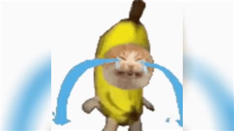 Sad Banana Cat | Know Your Meme