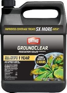 Ortho Ground Clear Vs Roundup - 2024 Showdown