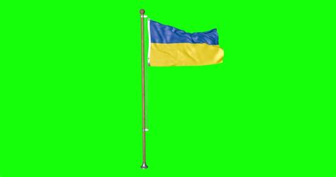 3d Ukraine Flag Waving in Stock Footage Video (100% Royalty-free ...