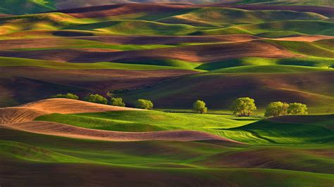 Palouse Hills Washington UHD 4K Wallpaper | Pixelz