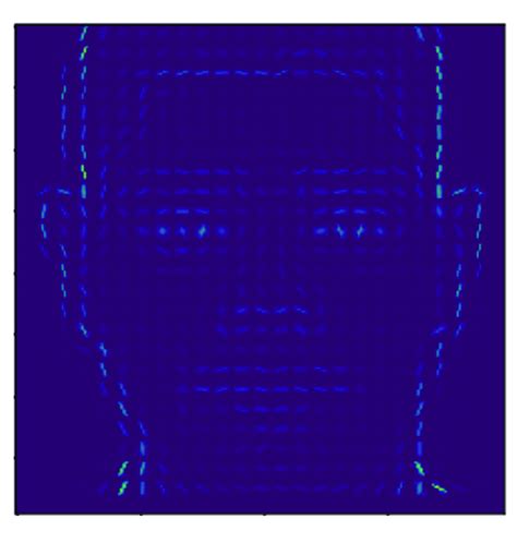 Gradients obtained by the HOG algorithm. | Download Scientific Diagram