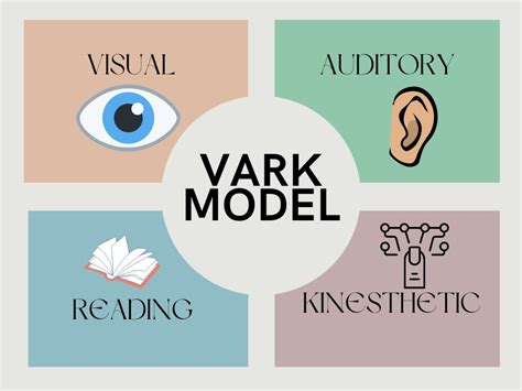 Vark Learning Styles Explained