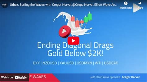 Precious Metal Steps Into A Correction – Surfing The Waves Elliott Wave ...