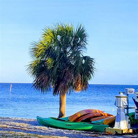 Cedar Key, FL 💚 : r/kayakfishing