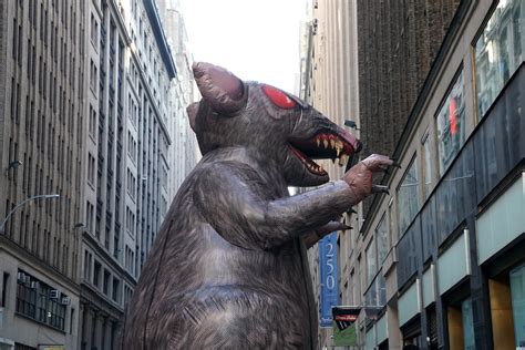 America's 10 Most Rat-Infested Cities - Newsweek