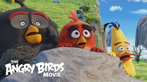 The Angry Birds Movie Movies Images Photos Pictures Backgrounds