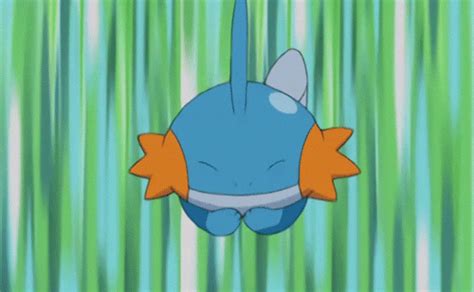 giphy.gif (500×309) | Pokemon photo, Mudkip, Pokemon