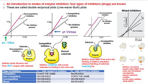 Types Of Enzyme Inhibitor - slideshare