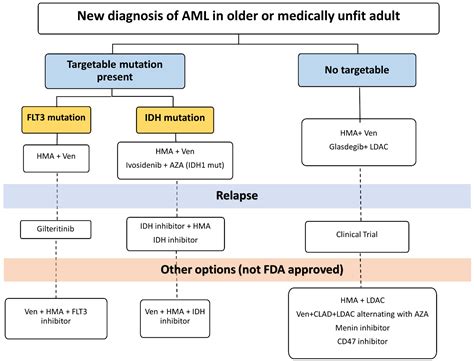 Cancers | Free Full-Text | Treatment of Acute Myeloid Leukemia in Older Adults