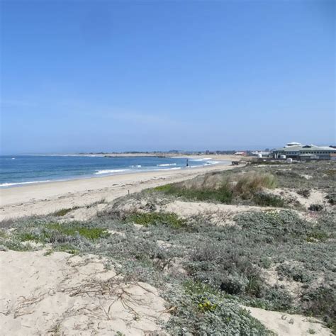 Salinas River State Beach - North – LiMPETS