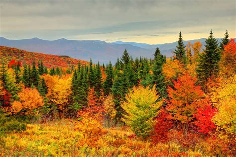 england rolling hills autumn - Google Search | New england fall foliage, Fall foliage, New ...