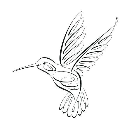 Simple Hummingbird Drawing at PaintingValley.com | Explore collection of Simple Hummingbird Drawing