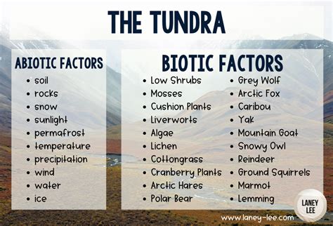 Tundra Abiotic and Biotic Factors - Laney Lee