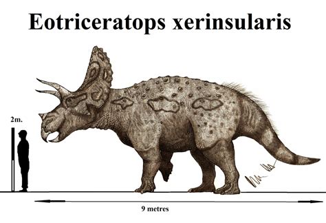 Eotriceratops was a genus of titanic ceratopsian dinosaur. The skull alone measures roughly 3 ...