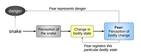 james-lange and cognitive-appraisal theories of emotion