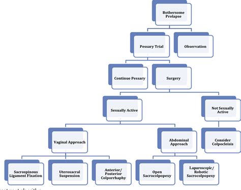 Figure 7 from Evaluation and Management of Pelvic Organ Prolapse in ...