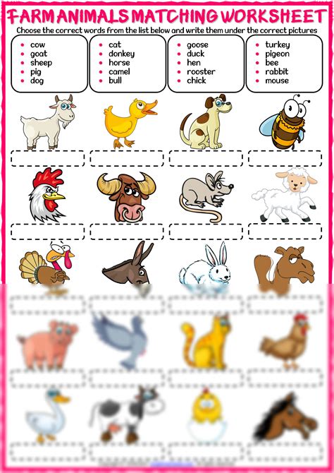 SOLUTION: Farm animals vocabulary esl matching exercise worksheet for kids - Studypool