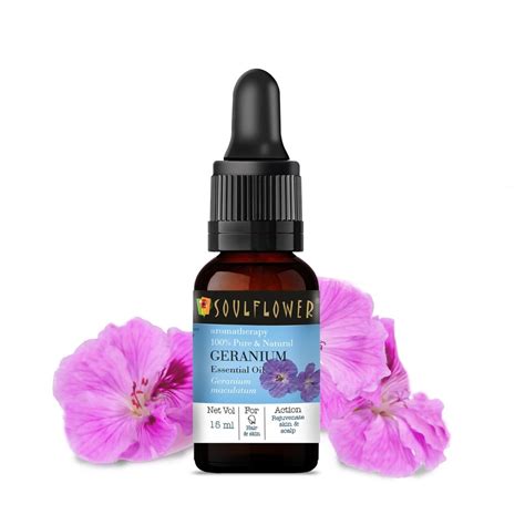 Buy Best Essential Oils Online - Uses, Benefits & Price | Soulflower