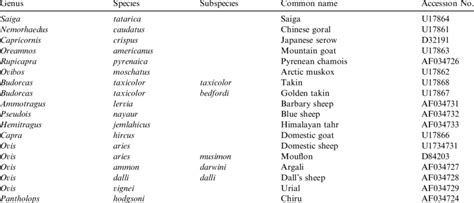 Extant Caprinae species and subspecies included in this study ...