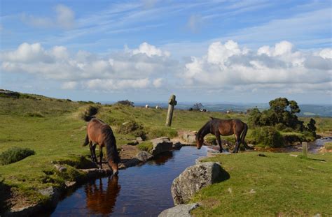 15 National Parks UK You Should Visit In Your Life! | uhomes