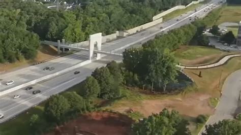 Internet Artist Labels South Carolina Bridge "Harambe Memorial"