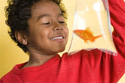 Boy with a goldfish - Stock Photo - Dissolve