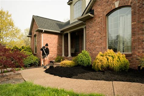 11 Mulch Alternatives to Consider for Your Landscaping | Angi