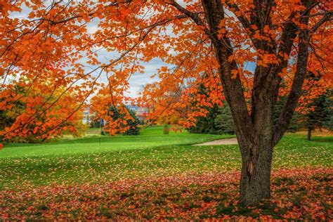 The best fall foliage courses in America | This is the Loop | Golf Digest