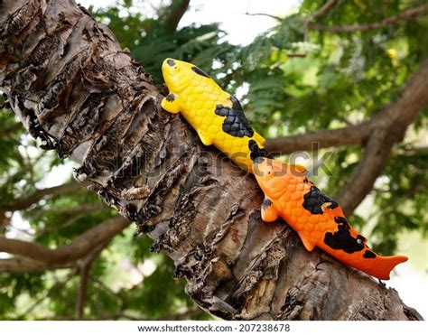 Fish Climbing A Tree Photos, Images & Pictures | Shutterstock