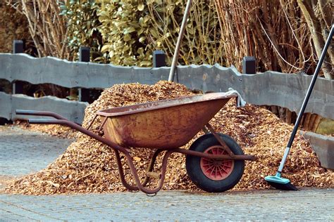 The Benefits of Using a Wood Chipper for Easy Yard Clean-Up